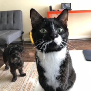 Fundraising Page: Kate Silva